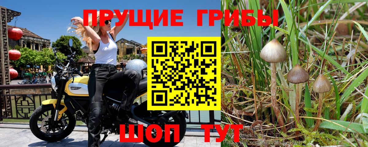 Галлюциногенные грибы прущие грибы Алушта