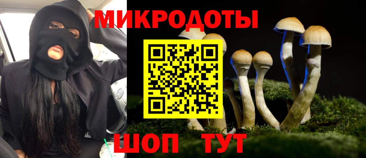 Алушта  Псилоцибиновые грибы Psilocybine cubensis  Вход с VPN 